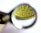 smal magnifying glass, 10x magnification
